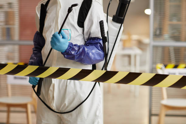 Professional Hoarding Cleanup technician working in Crystal City, TX